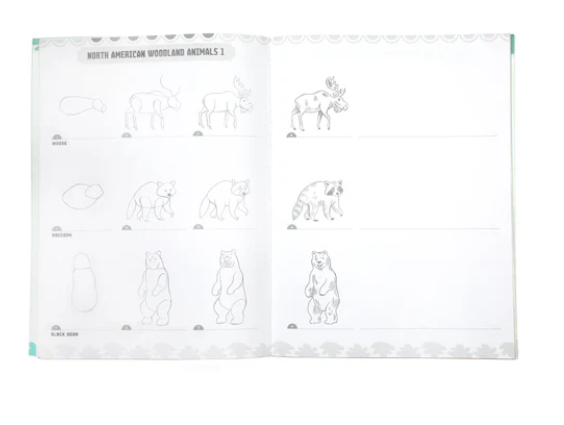 Learn to Draw Wild Animals