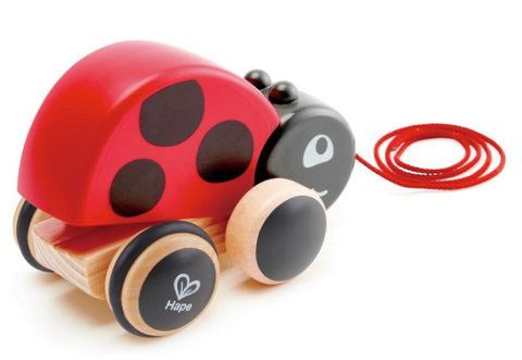 Ladybug Pull Along