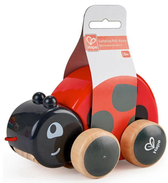 Ladybug Pull Along