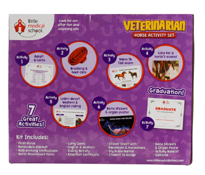 Veterinarian Horse Activity Set