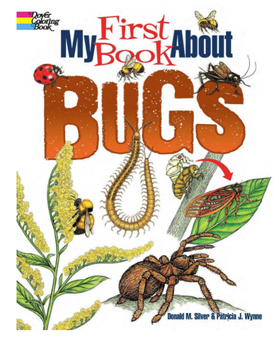 My First Book About Bugs