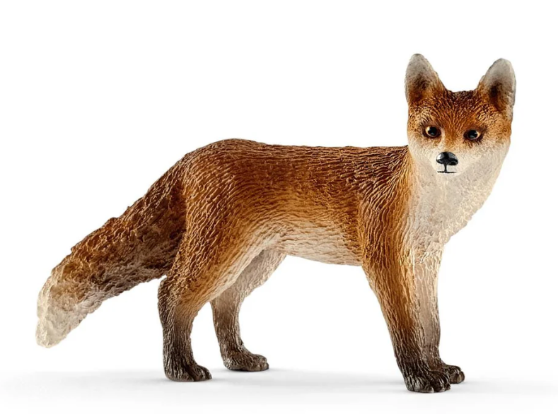 Fox