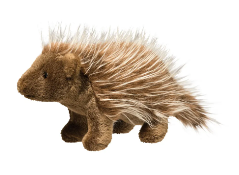 Percy Porcupine