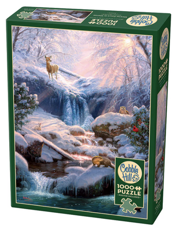 Mystic Falls in Winter 1000pc