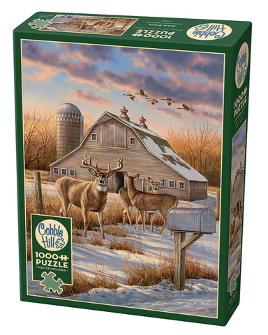 Rural Route 1000pc
