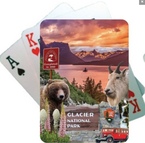 Gnp New Collage Playing Cards