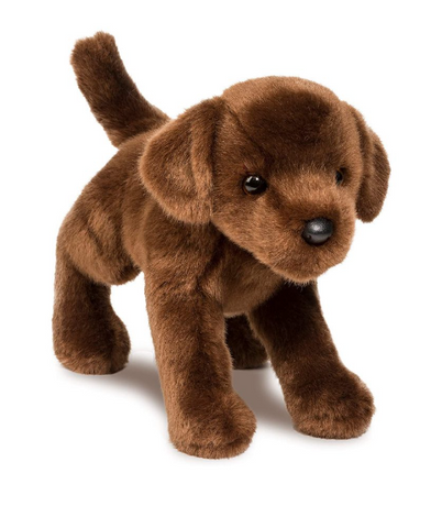 C.C. Bean Chocolate Lab