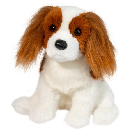 Kingsley King Charles Cavalier