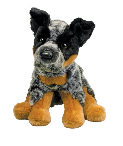 Dexter Austrailian Cattle dog
