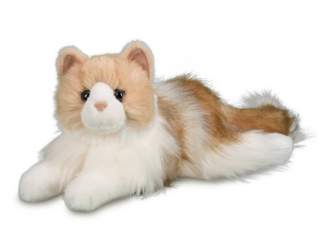 Kiki Ragdoll Cat