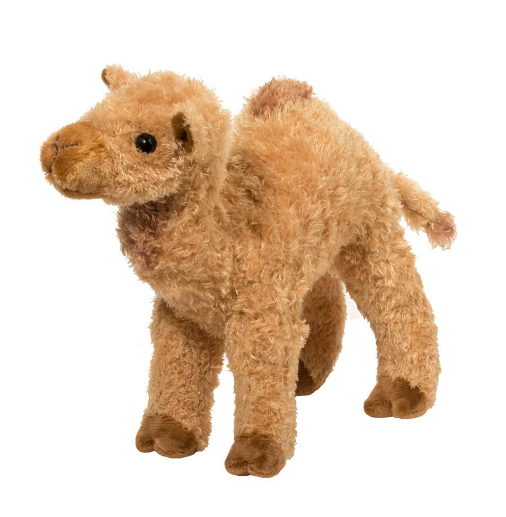 Lawrence Camel