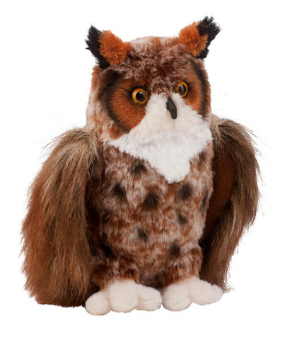 Einstein Great Horned Owl