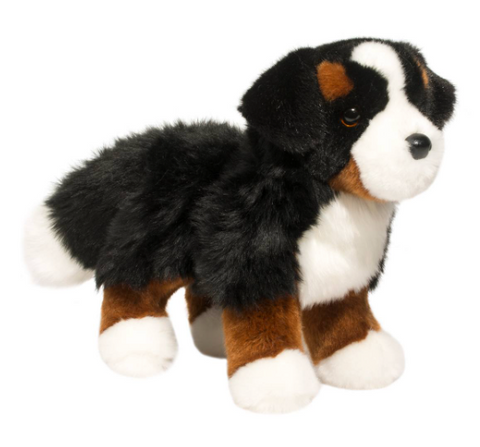 Stevie Burmese Mtn Dog