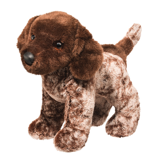 Ivan German Pointer