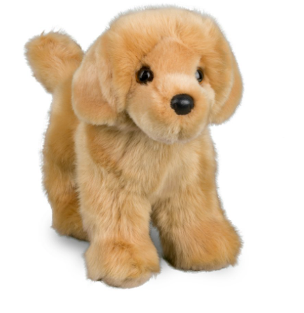 Chap Golden Retriever