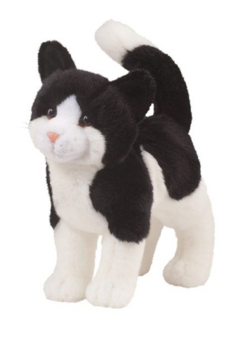 Scooter Black & White Cat