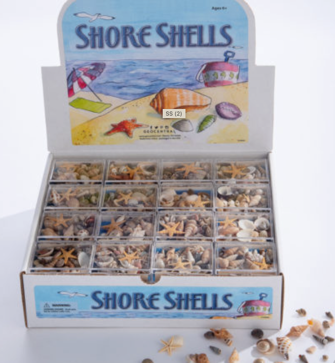 Shore Shells