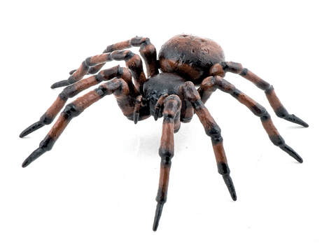 Papo Common Spider