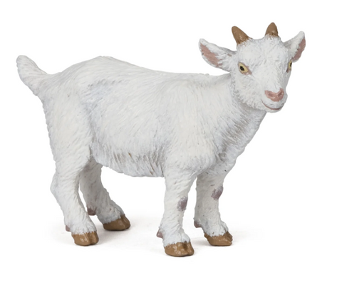 Kid Goat White Papo