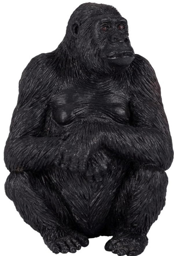 Gorilla Female