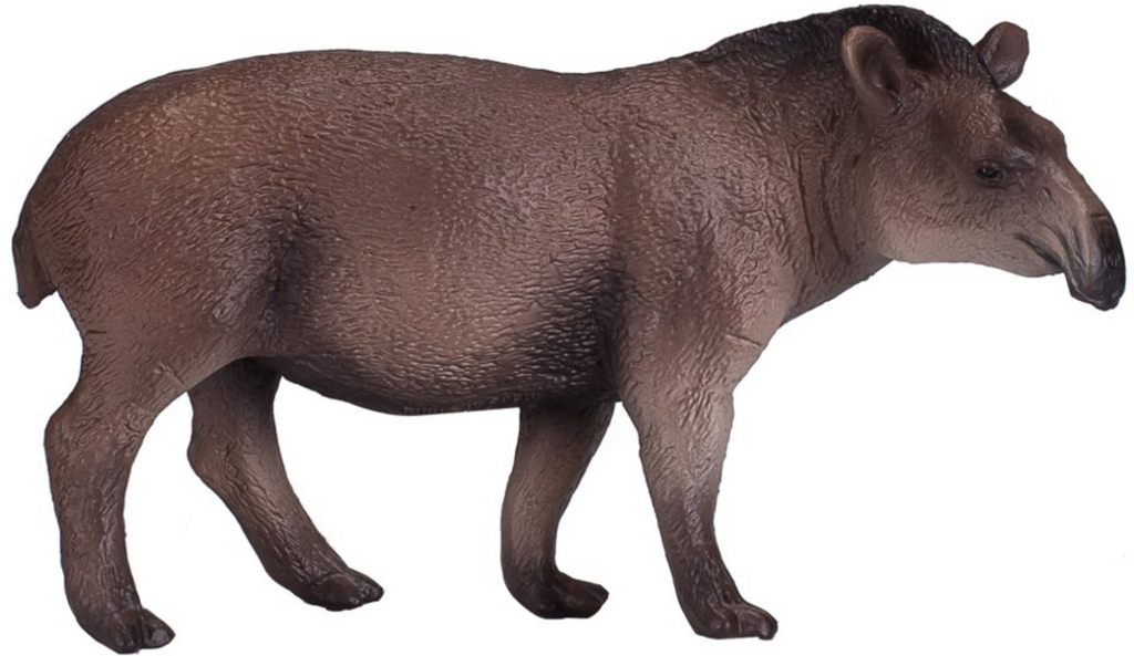 Brazilian Tapir