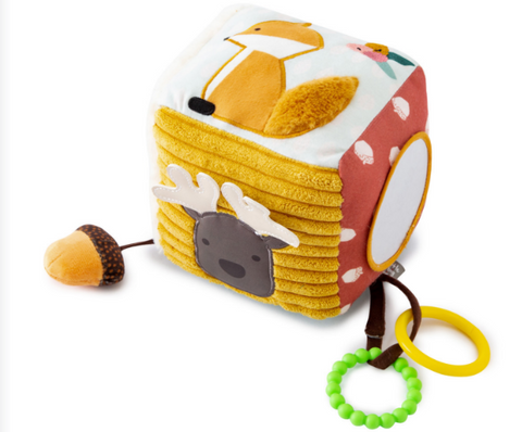 Activity Cube - Forest