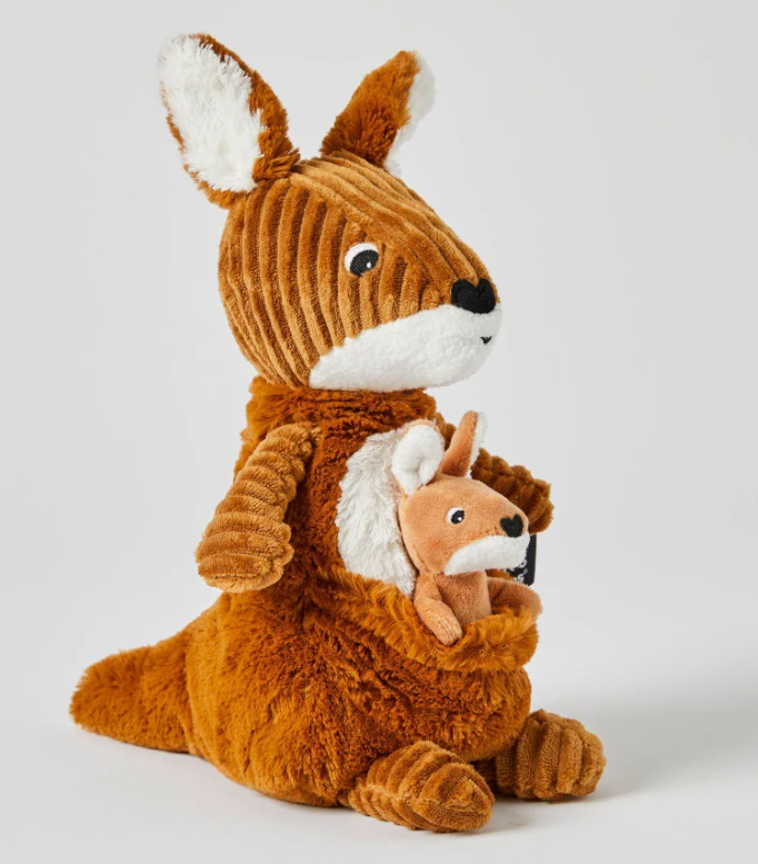 Kangaroo Mom and Her Baby