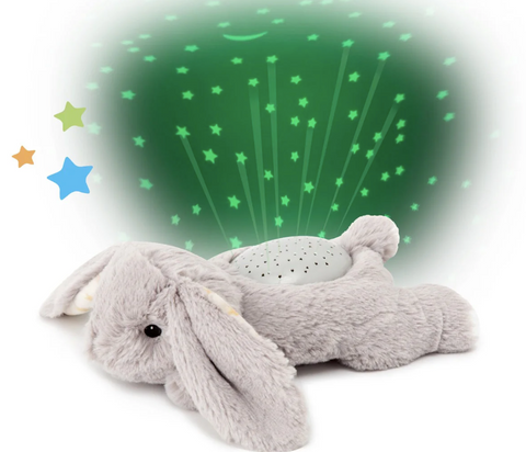 Dream Buddies-Benny Bunny