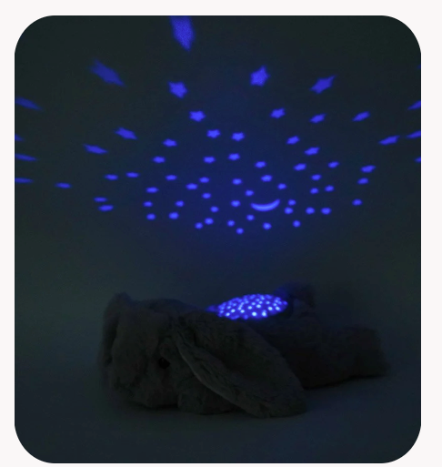 Dream Buddies-Benny Bunny