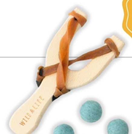 Take Aim-Sling Shot & Felt Pellets