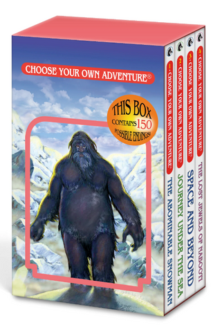 4 Book Boxed Set #1 CYOA