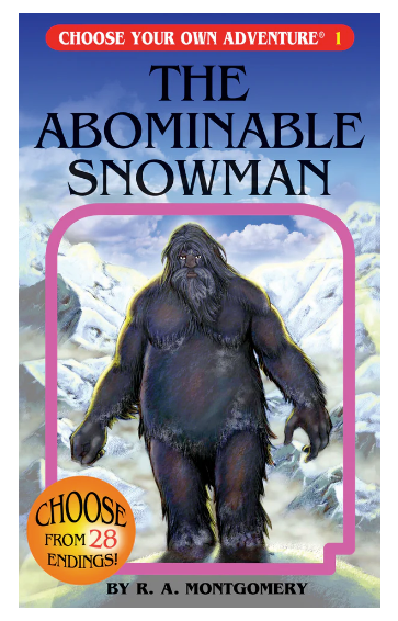 4 Book Boxed Set #1 CYOA