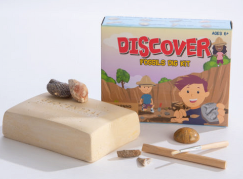 Discover Fossils Dig Kit