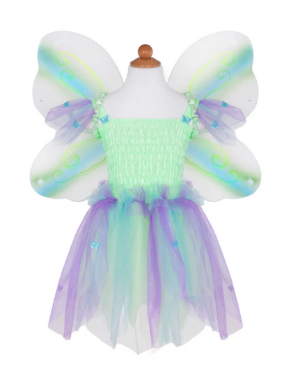 Butterfly Dress/Wings/Wand 5/6