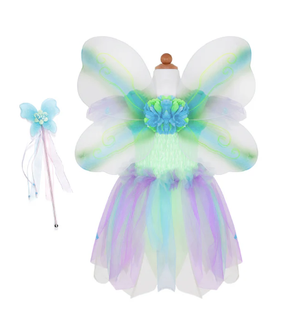 Butterfly Dress/Wings/Wand 5/6