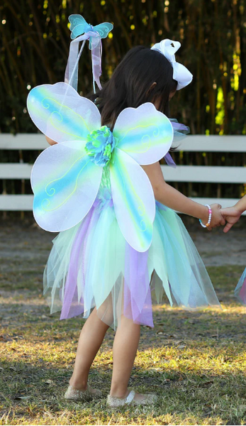 Butterfly Dress/Wings/Wand 5/6