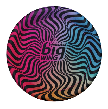 Big Wing Flying Disc Assorted