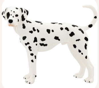 Dalmatian