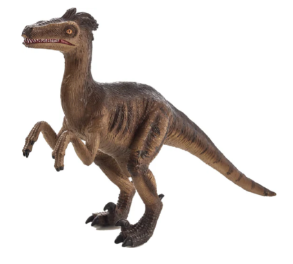 Velociraptor