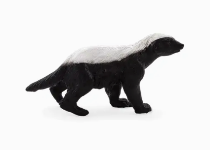 Honey Badger Male