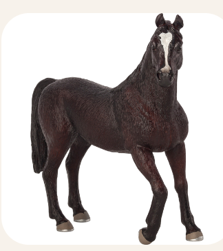 Arabian Stallion Black