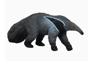 Giant Anteater