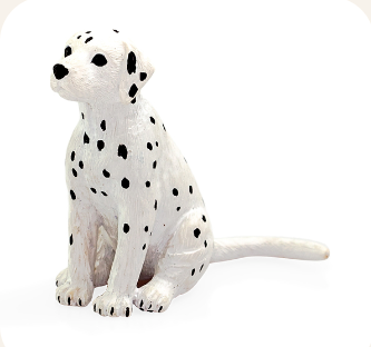 Dalmatian Puppy