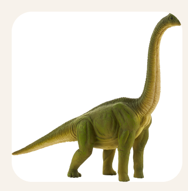 Brachiosaurus