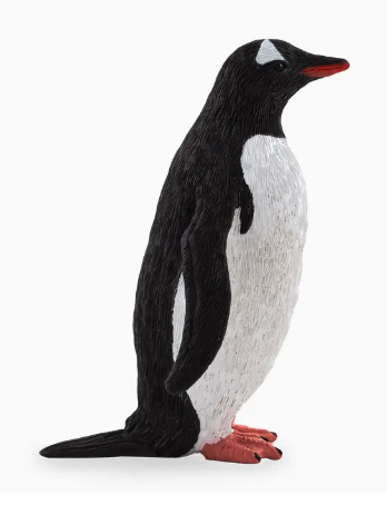 Gentoo Penguin