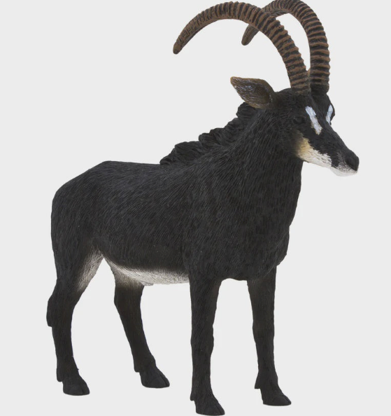 Giant Sable Antelope