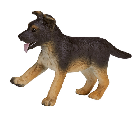 German Shepherd Puppy