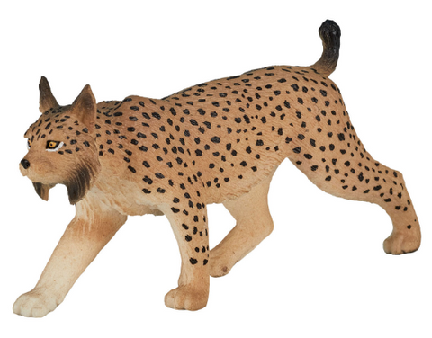 Iberian Lynx