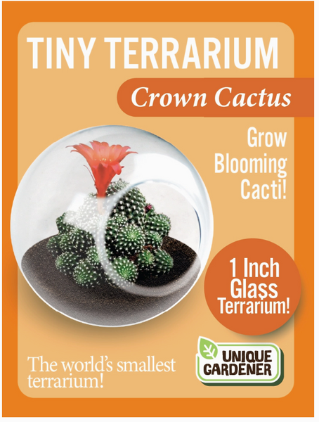 Tiny Terrarium Cactus