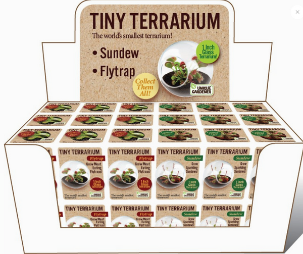 Tiny Terrarium Carnivorous